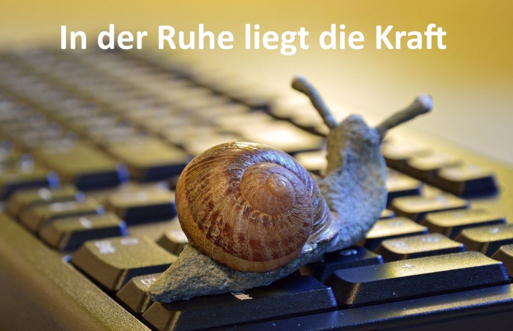 Pixabay – snail-3901655_1920-1-kl